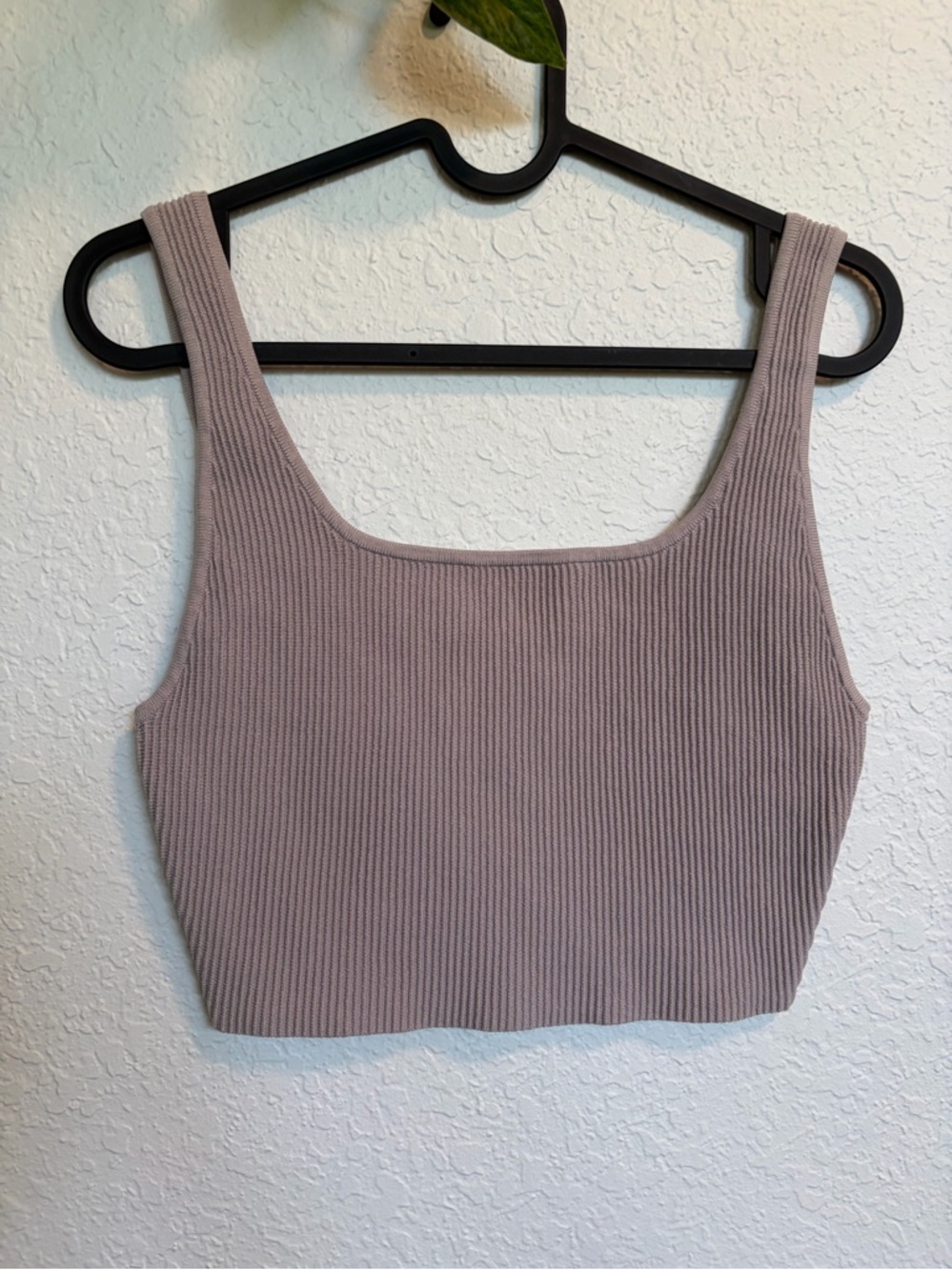 Aritzia Babaton Ribbed Crop Tank